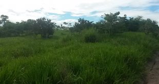 Chácara em Juara MT - 42.715 m² Escriturada