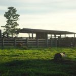 Fazenda a venda em Juara MT - 517 Hectares Escriturada