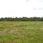 Fazenda a venda em Juara MT - 517 Hectares Escriturada