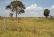 Fazenda a venda em Juara MT - 520 Hectares Escriturada