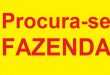 Procura-se fazendas para arrendar em Juara MT