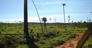 Fazenda a venda em Juara MT - 4162 Hectares