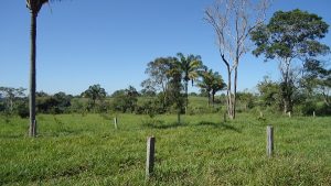 Sítio a venda em Juara MT - 31,46 Hectares