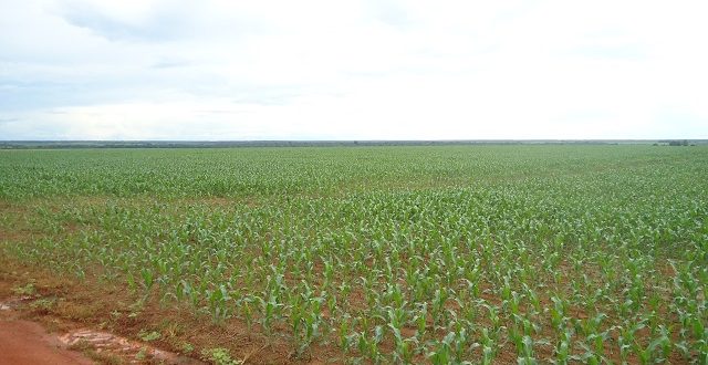 Fazenda 18600 Hectares em Juara MT