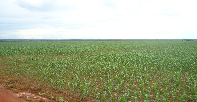 Fazenda 18600 Hectares em Juara MT