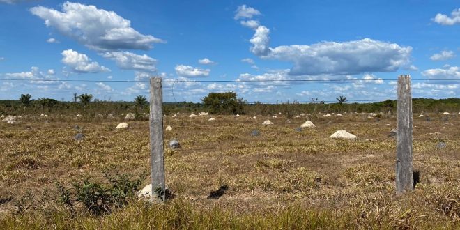 Fazenda 2185 Hectares em Juara MT