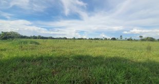 Sítio 40 hectares em Juara MT