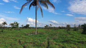 Chácara 7,26 hectares em Juara MT