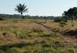 Fazenda 1000 hectares em Juara MT