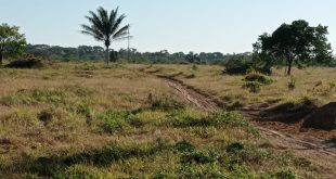 Fazenda 1000 hectares em Juara MT