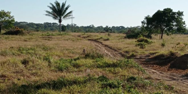 Fazenda 1000 hectares em Juara MT