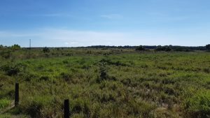 Fazenda 968 hectares em Tabaporã MT