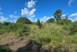 Chácara 4.375,09 m² em Juara MT