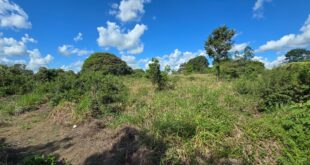 Chácara 4.375,09 m² em Juara MT
