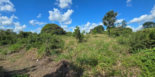 Chácara 4.375,09 m² em Juara MT