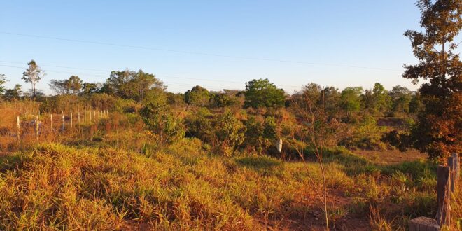 Chácara Urbana 25.533 m² em Juara MT