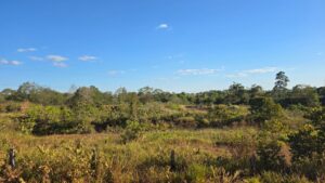 Chácara Urbana 25.533 m² em Juara MT