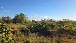 Chácara Urbana 25.533 m² em Juara MT