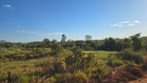 Chácara Urbana 25.533 m² em Juara MT