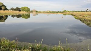 Chácara a venda em Juara MT