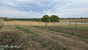 Chácara a venda em Juara MT